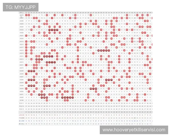 龙八体育官网注册流程详解新手快速入门指南推荐