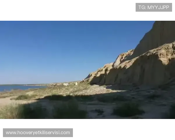 飞驰集团会员注册常见问题及解决方案帮助用户顺利完成注册流程